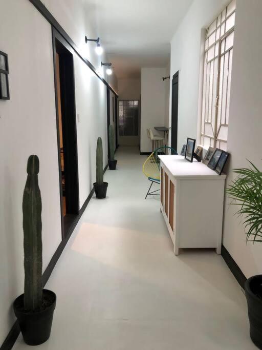 C4 Cuarto Condesa Amsterdam Apartment Mexico City Exterior photo